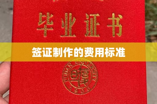 洛川签证制作的费用标准
